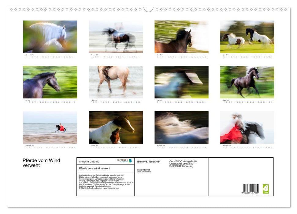 Pferde vom Wind verweht (CALVENDO Wandkalender 2027)