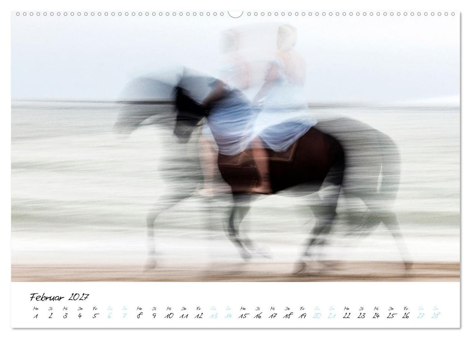 Pferde vom Wind verweht (CALVENDO Wandkalender 2027)