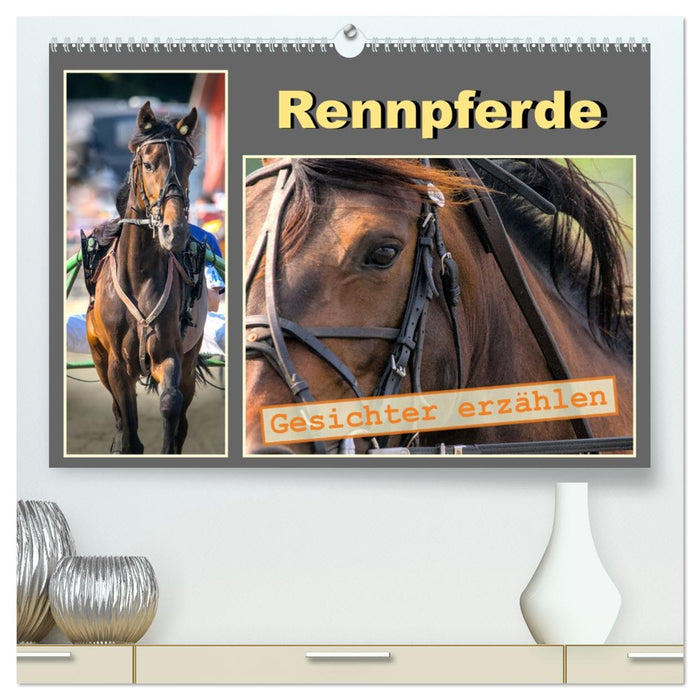 Rennpferde - Gesichter erzählen (CALVENDO Premium Wandkalender 2027)