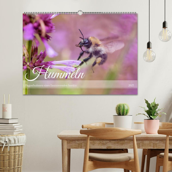 Hummeln - Flugaufnahmen eines faszinierenden Insekts (CALVENDO Wandkalender 2027)