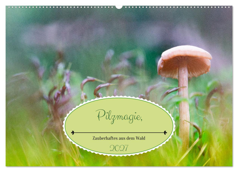 Pilzmagie (CALVENDO Wandkalender 2027)