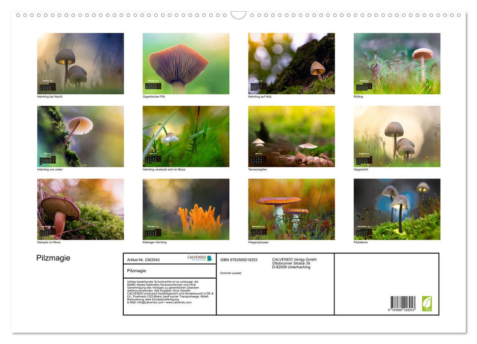 Pilzmagie (CALVENDO Wandkalender 2027)