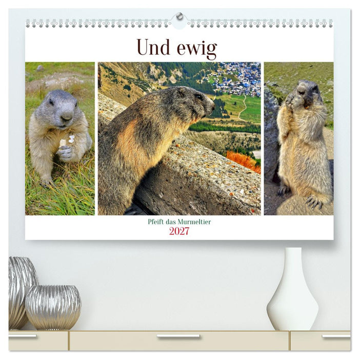 Und ewig pfeift das Murmeltier (CALVENDO Premium Wandkalender 2027)