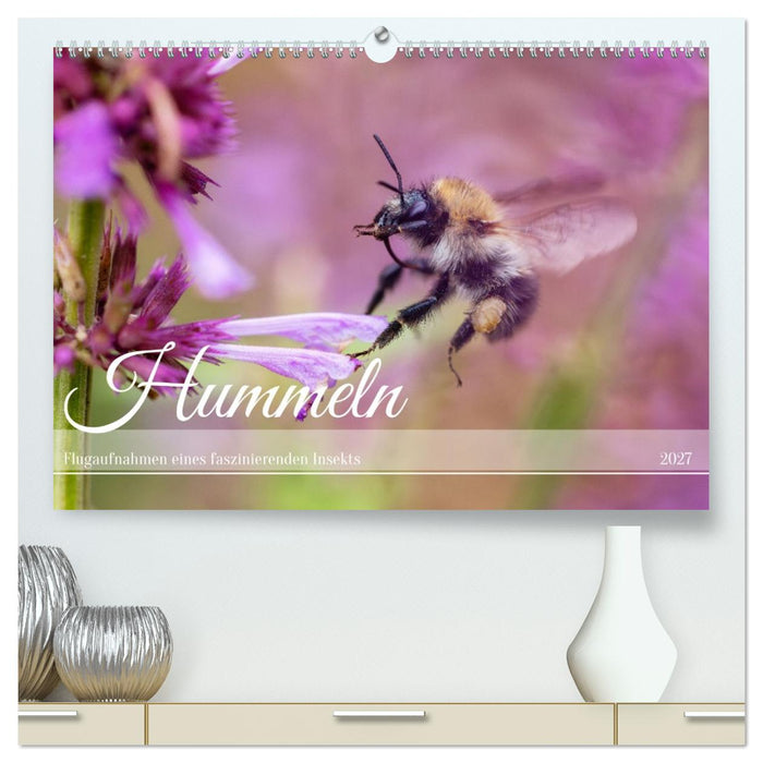 Hummeln - Flugaufnahmen eines faszinierenden Insekts (CALVENDO Premium Wandkalender 2027)