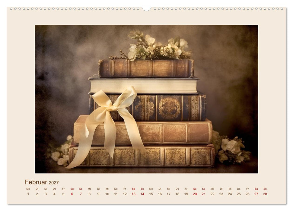 Bücherzauber (CALVENDO Premium Wandkalender 2027)