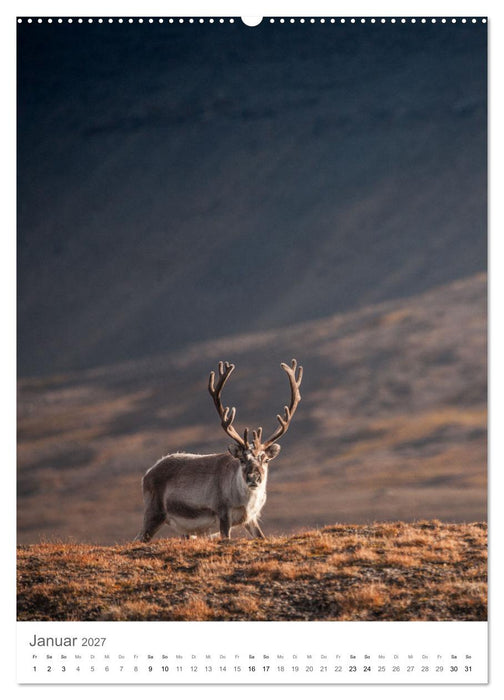 Die Arktis - Naturfotografien aus Spitzbergen (CALVENDO Premium Wandkalender 2027)