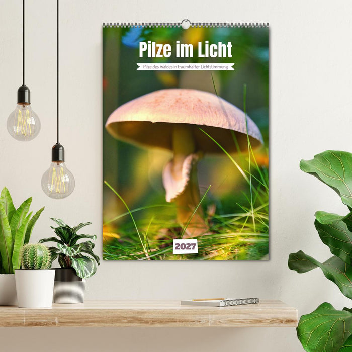 Pilze im Licht (CALVENDO Wandkalender 2027)