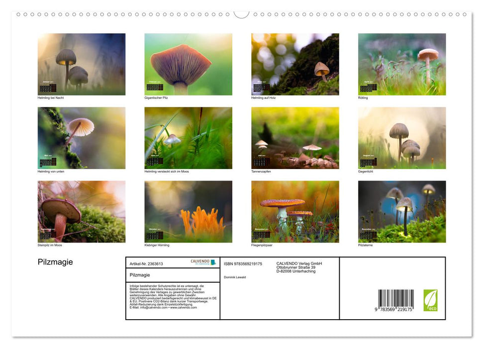 Pilzmagie (CALVENDO Premium Wandkalender 2027)