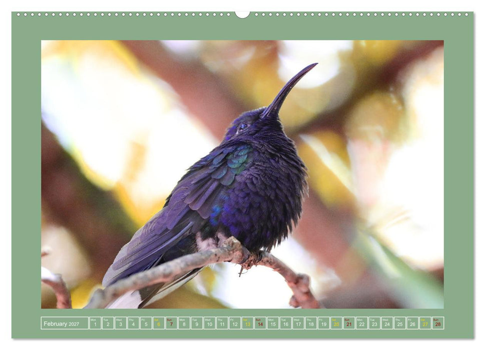 Some Costa Rican Birds (CALVENDO Premium-Calendar 2027)