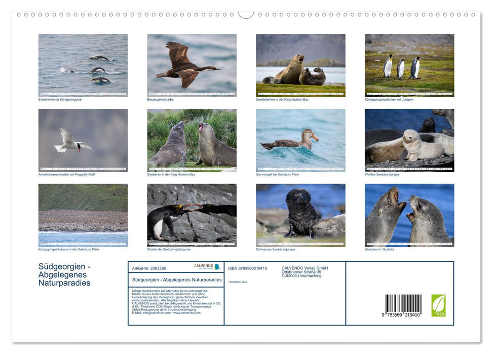 Südgeorgien - Abgelegenes Naturparadies (CALVENDO Premium Wandkalender 2027)
