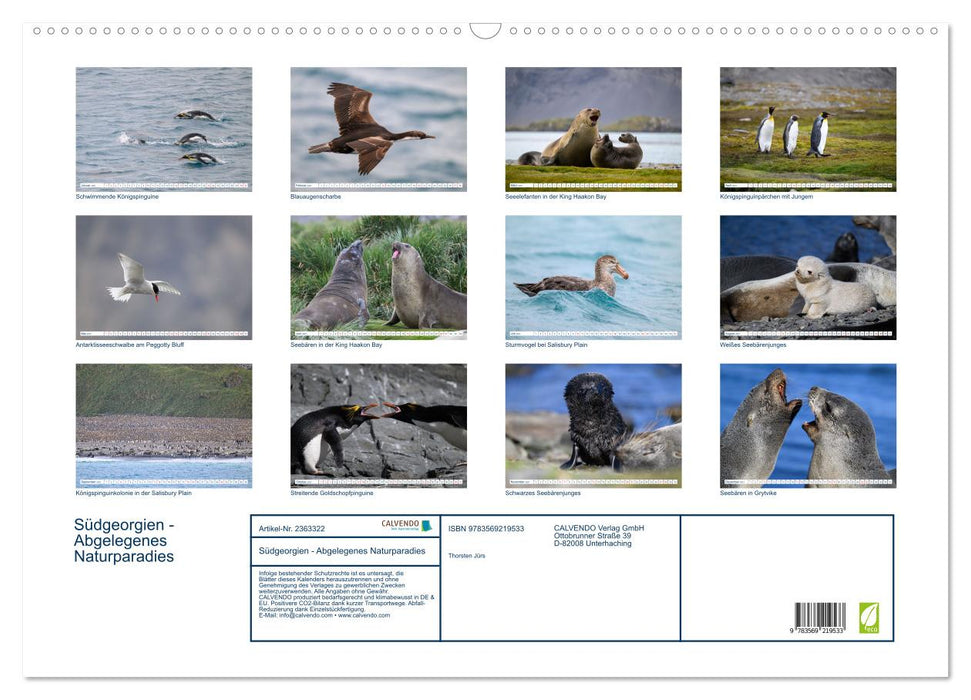 Südgeorgien - Abgelegenes Naturparadies (CALVENDO Wandkalender 2027)