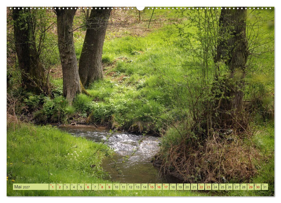 Alles im grünen Bereich (CALVENDO Premium Wandkalender 2027)