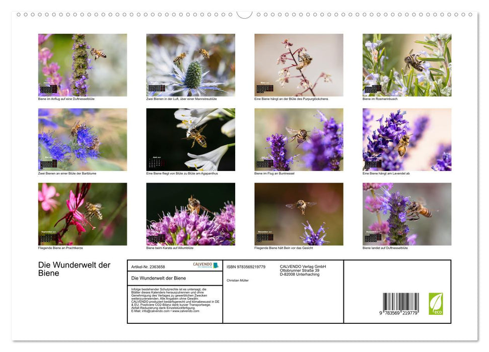 Die Wunderwelt der Biene (CALVENDO Premium Wandkalender 2027)