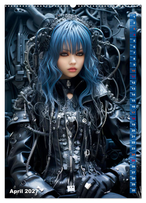ROCK LADIES Cyber, goth, punk and more (CALVENDO Premium-Calendar 2027)