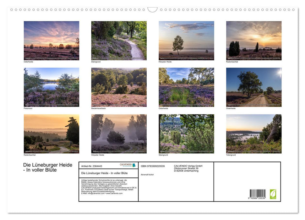 Die Lüneburger Heide - In voller Blüte (CALVENDO Wandkalender 2027)