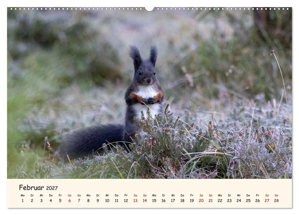 Oachkatzl (CALVENDO Premium Wandkalender 2027)