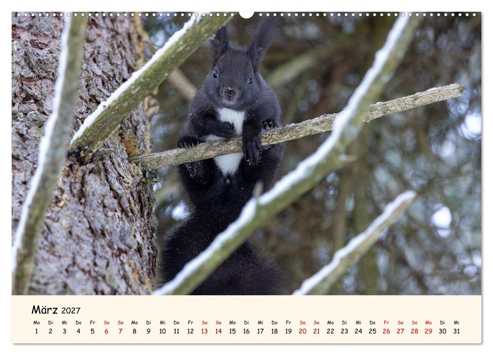 Oachkatzl (CALVENDO Premium Wandkalender 2027)