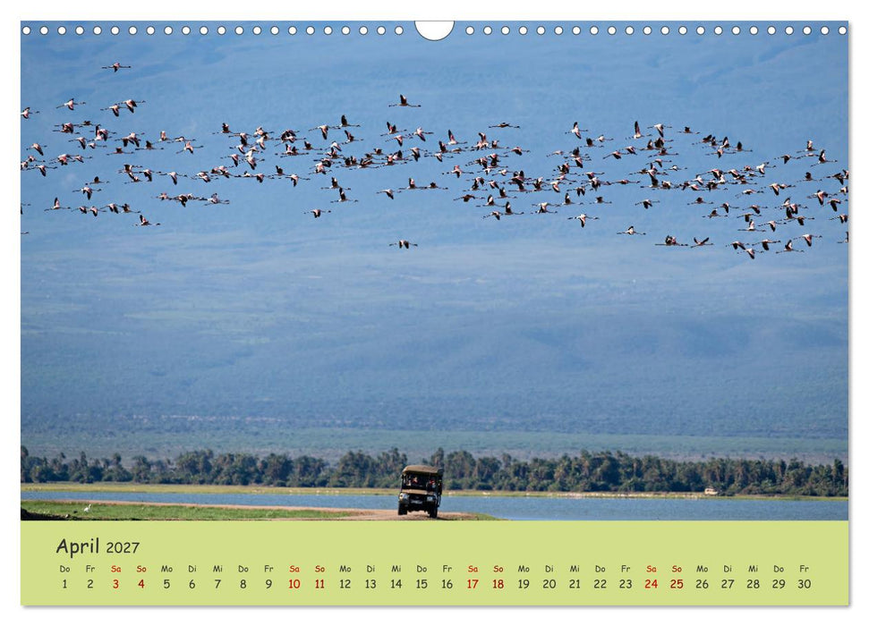 Gefiederte Schönheiten Ostafrikas (CALVENDO Wandkalender 2027)