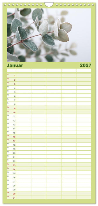 Stille Grüne Momente (CALVENDO Familienplaner 2027)
