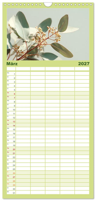 Stille Grüne Momente (CALVENDO Familienplaner 2027)
