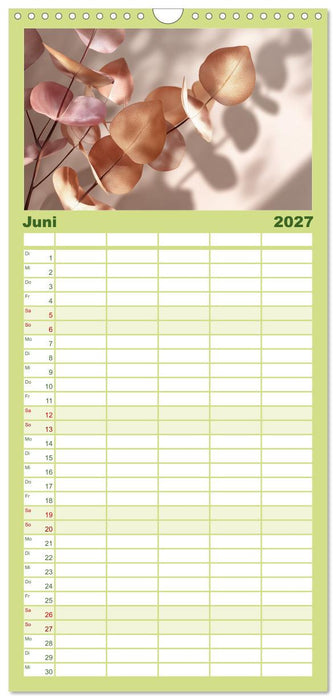 Stille Grüne Momente (CALVENDO Familienplaner 2027)