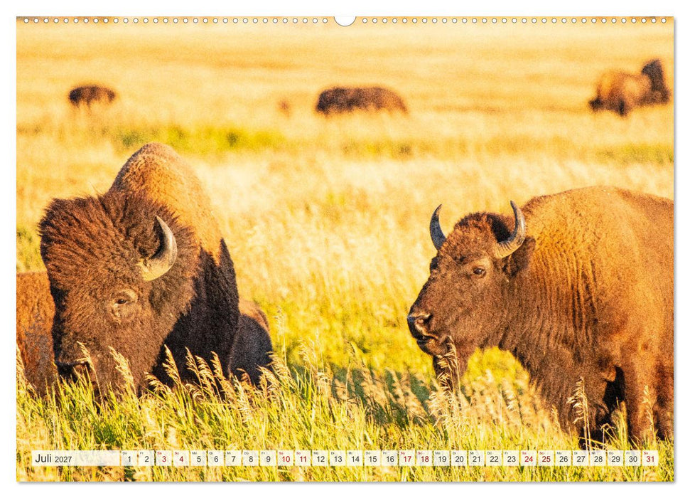 USA - National und State Parks im Nordwesten (CALVENDO Premium Wandkalender 2027)