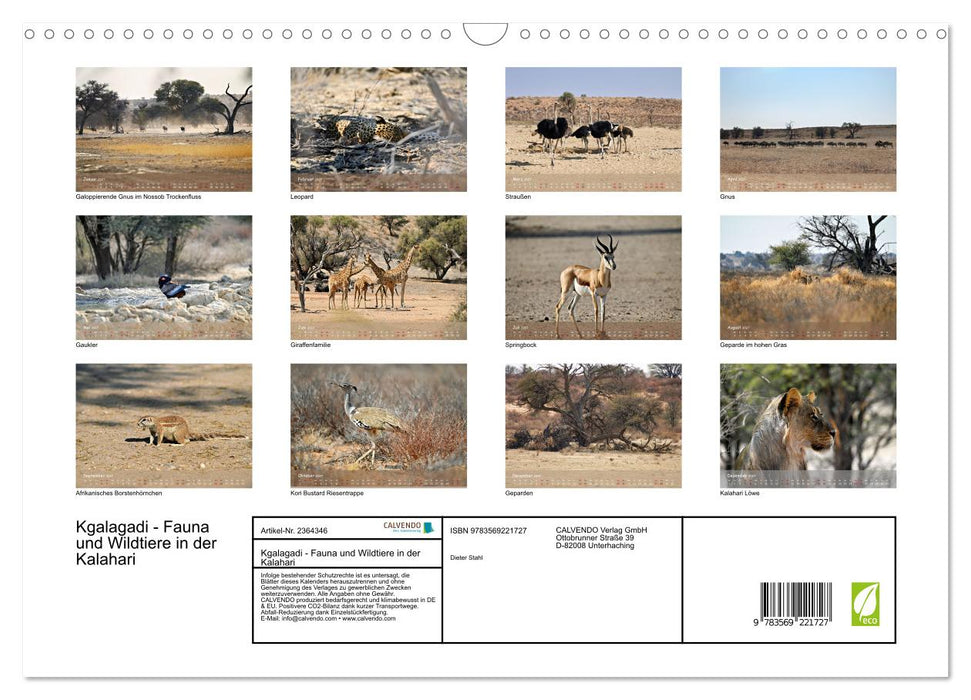 Kgalagadi - Fauna und Wildtiere in der Kalahari (CALVENDO Wandkalender 2027)