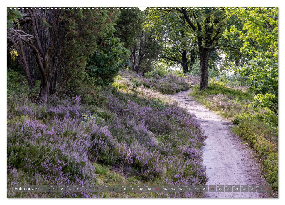 Die Lüneburger Heide - In voller Blüte (CALVENDO Premium Wandkalender 2027)