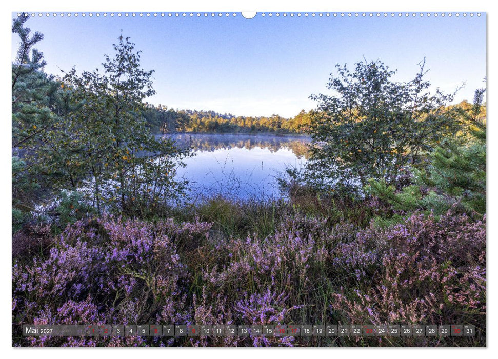 Die Lüneburger Heide - In voller Blüte (CALVENDO Premium Wandkalender 2027)