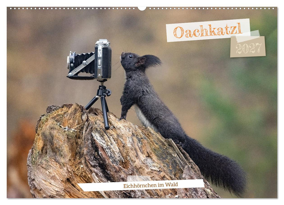 Oachkatzl (CALVENDO Wandkalender 2027)