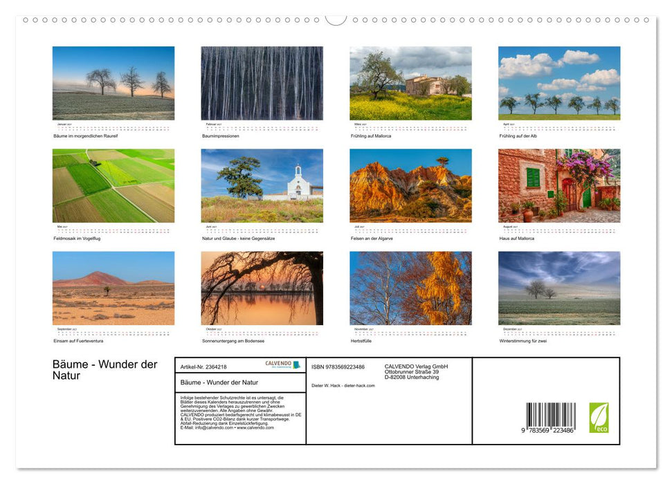 Bäume - Wunder der Natur (CALVENDO Premium Wandkalender 2027)