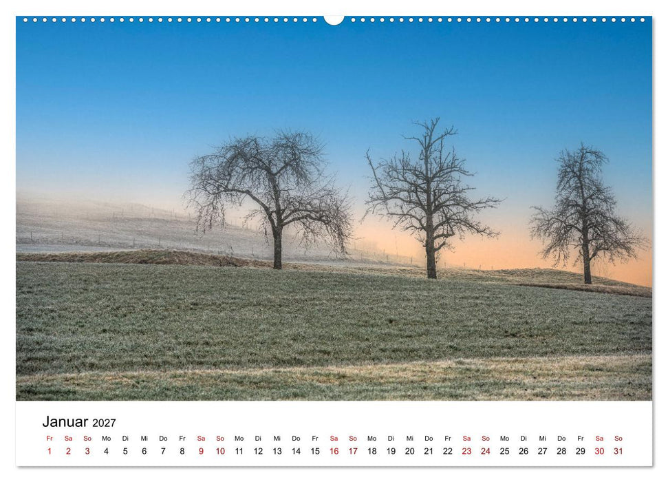 Bäume - Wunder der Natur (CALVENDO Premium Wandkalender 2027)