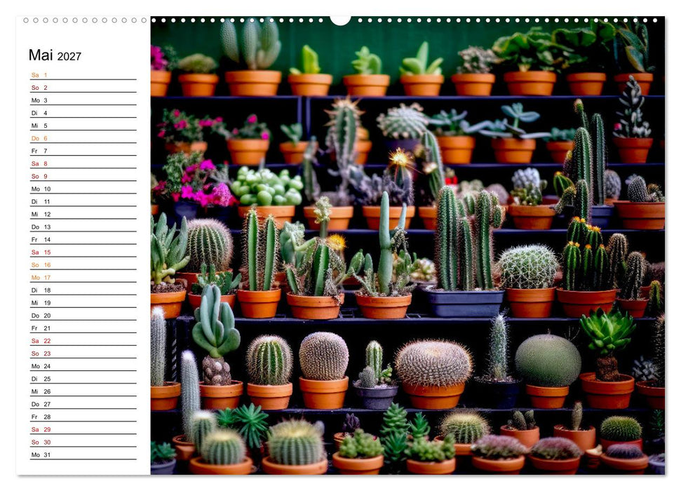Kaktuszauberland (CALVENDO Wandkalender 2027)