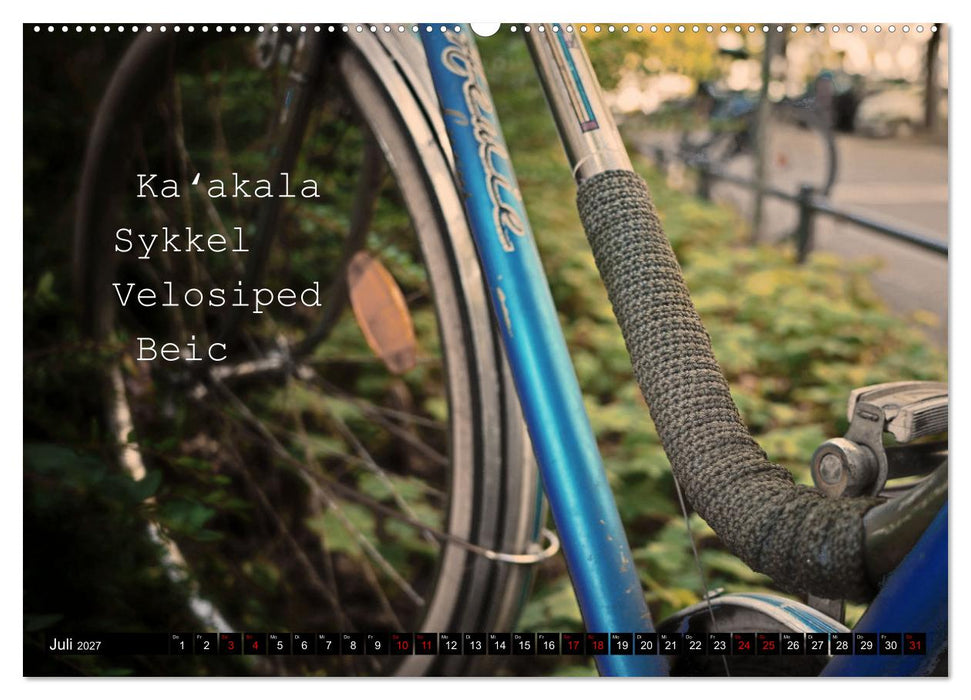 Weltfahrrad (CALVENDO Premium Wandkalender 2027)