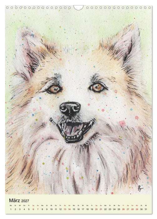 Hundeporträts - Aquarellzeichnungen von Pia Tasche (CALVENDO Wandkalender 2027)
