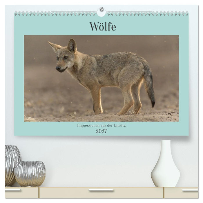 Wölfe, Impressionen aus der Lausitz (CALVENDO Premium Wandkalender 2027)