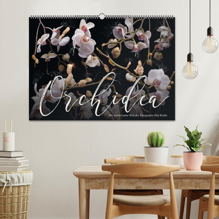 Orchidea (CALVENDO Wandkalender 2027)