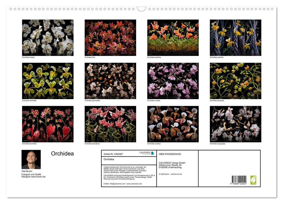 Orchidea (CALVENDO Wandkalender 2027)