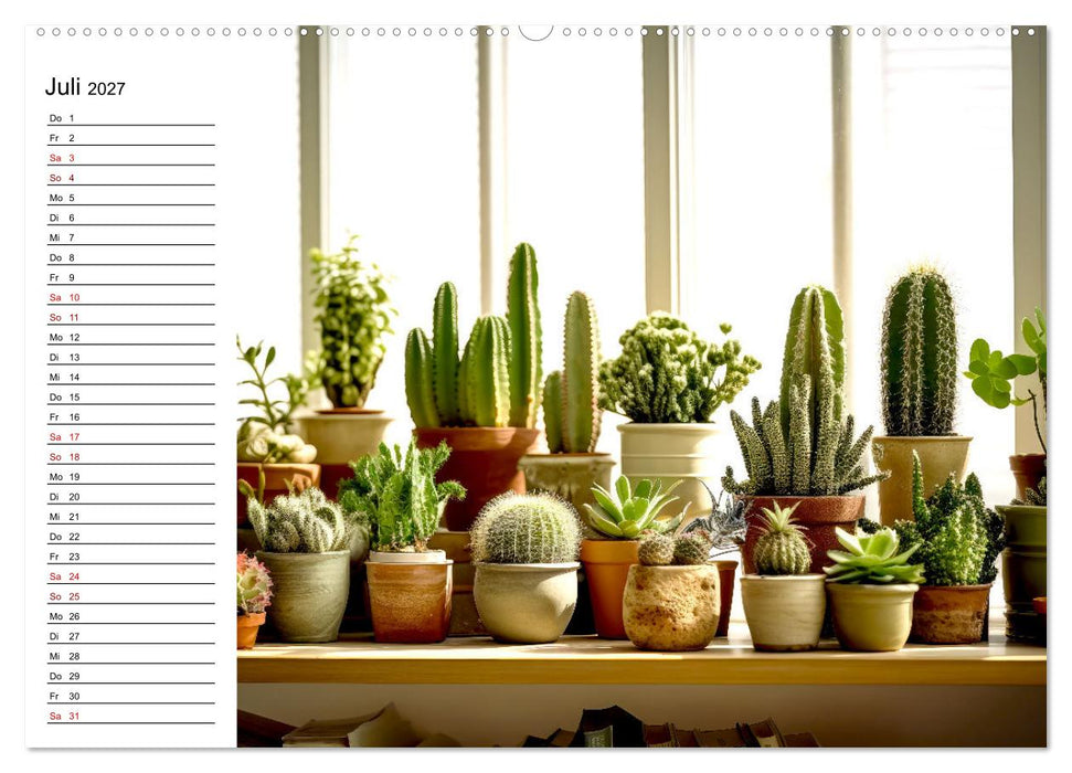 Kaktuszauberland (CALVENDO Premium Wandkalender 2027)