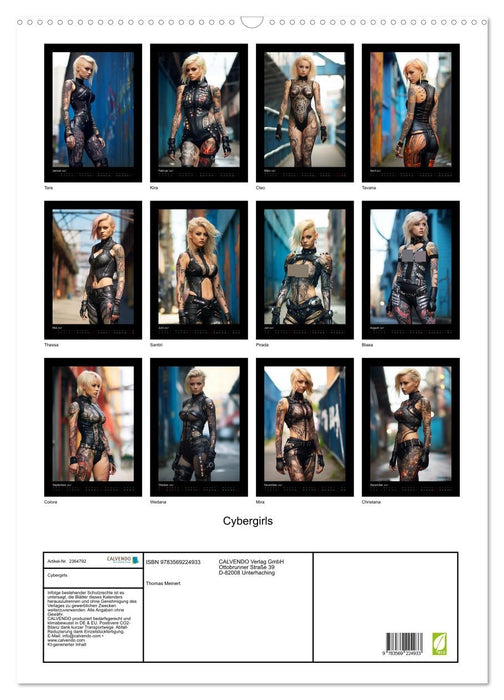 Cybergirls (CALVENDO Wandkalender 2027)