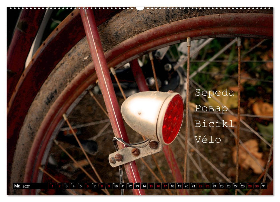 Weltfahrrad (CALVENDO Wandkalender 2027)