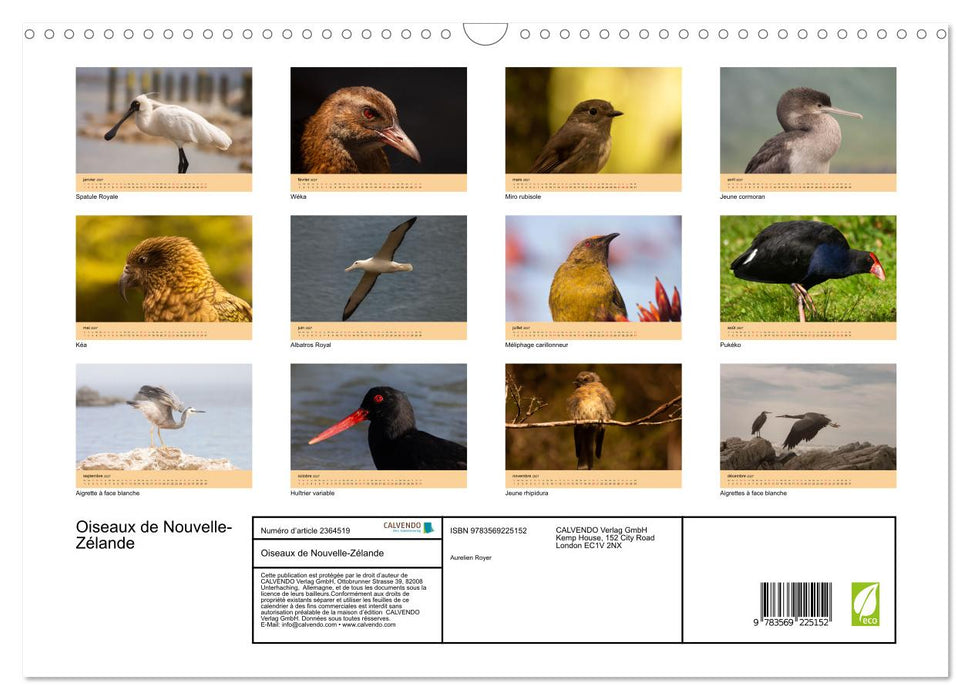 Oiseaux de Nouvelle-Zélande (CALVENDO Calendrier mensuel 2027)