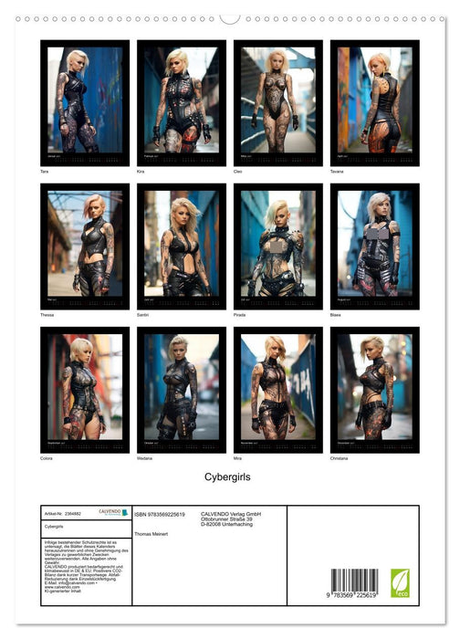Cybergirls (CALVENDO Premium Wandkalender 2027)