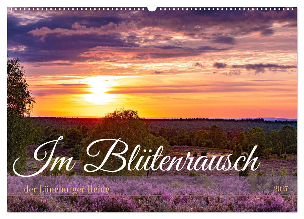 Im Blütenrausch der Lüneburger Heide (CALVENDO Wandkalender 2027)