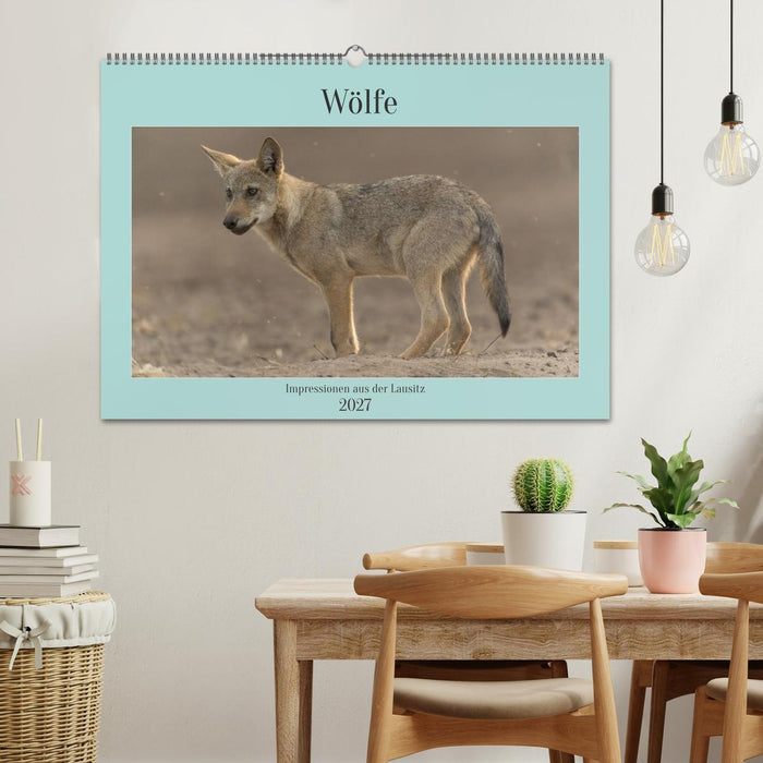 Wölfe, Impressionen aus der Lausitz (CALVENDO Wandkalender 2027)
