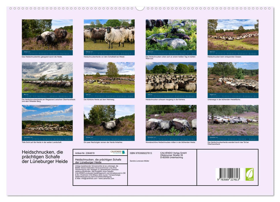 Heidschnucken, die prächtigen Schafe der Lüneburger Heide (CALVENDO Premium Wandkalender 2027)