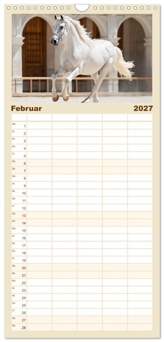 Spanische Eleganz. Edle Schimmel auf dem Gestüt (CALVENDO Familienplaner 2027)