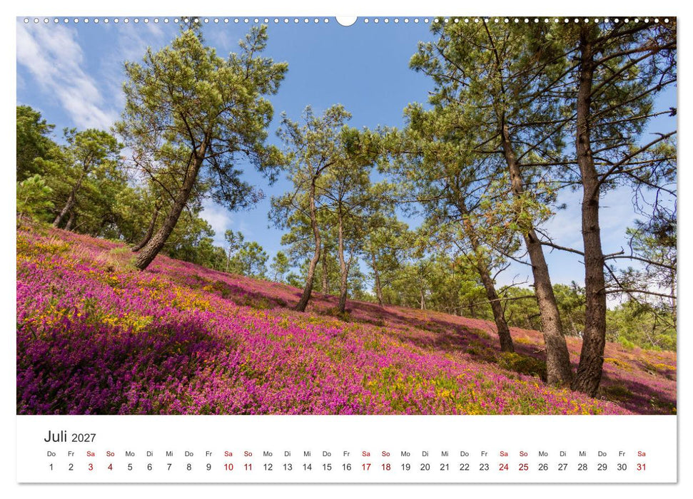 Die Bretagne - Traumpfade (CALVENDO Premium Wandkalender 2027)