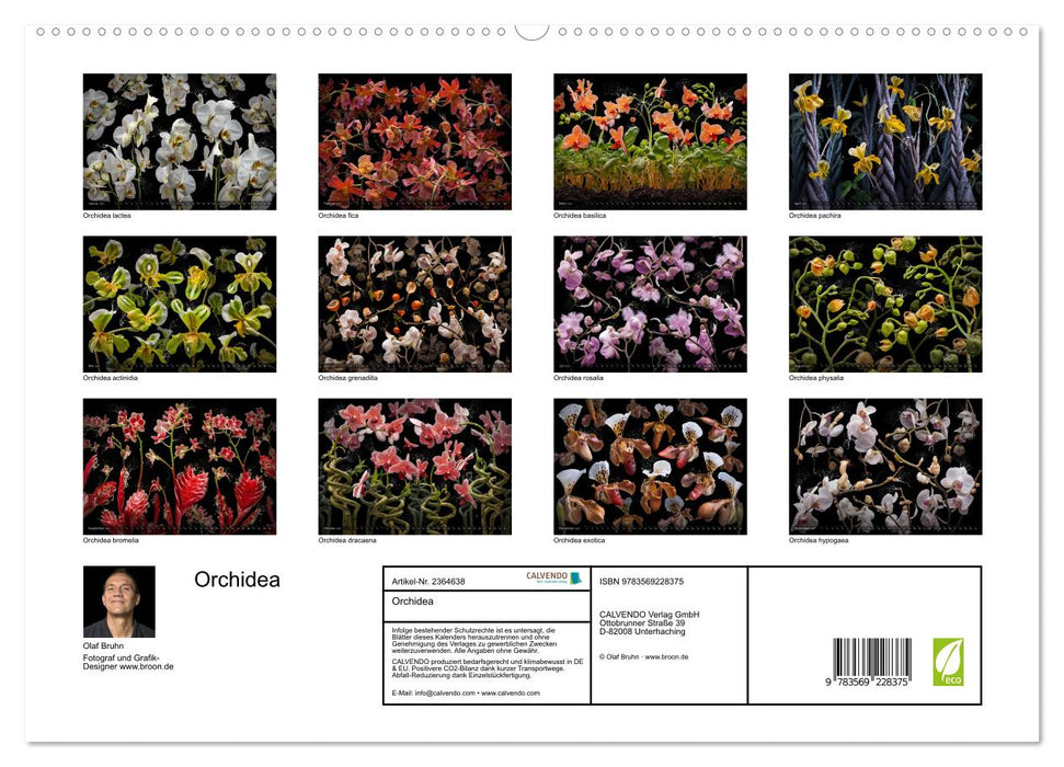 Orchidea (CALVENDO Premium Wandkalender 2027)
