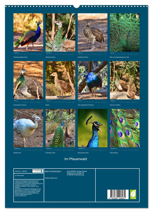 Im Pfauenwald (CALVENDO Premium Wandkalender 2027)